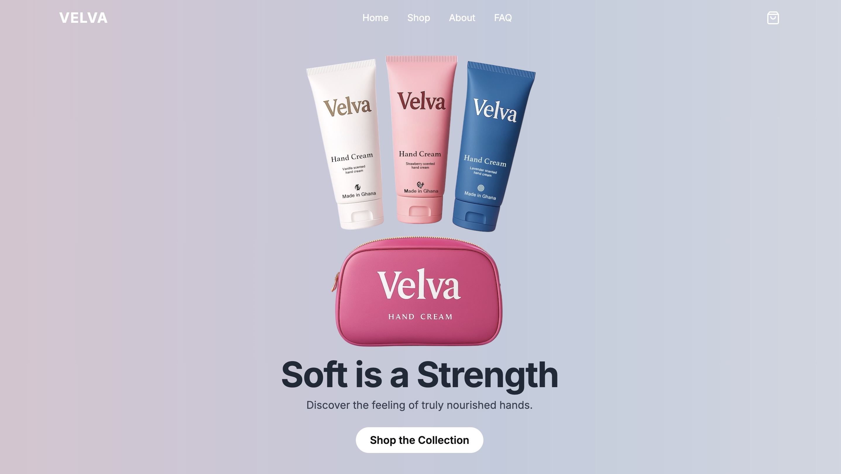 Case Study 2: Velva Skincare